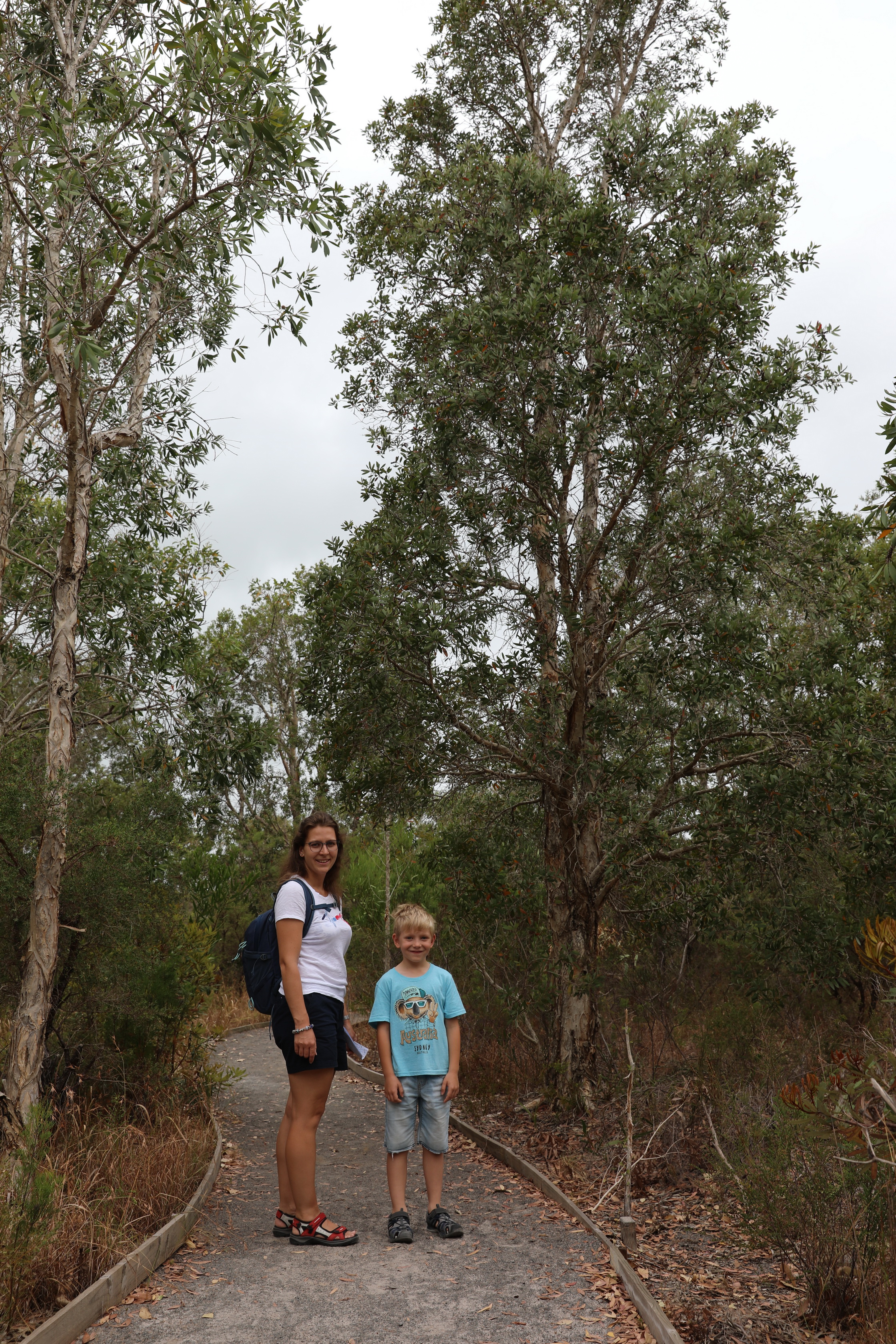 Tilligerry Habitat in Tanilba Bay
